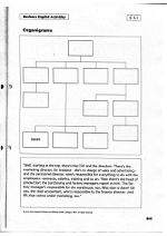 Org Structure Homework 1