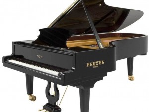 piano-pleyel_exact783x587_l